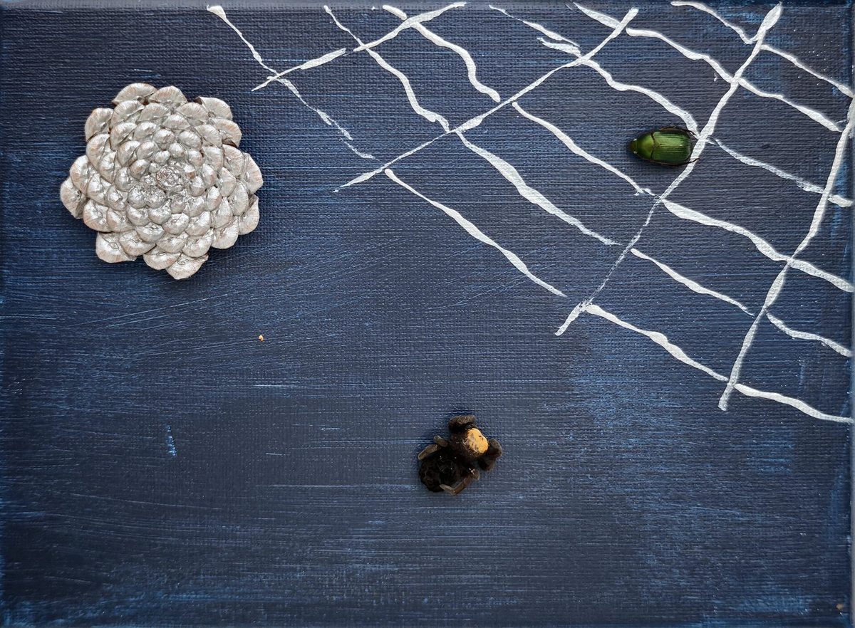 Silver rosette and white net lines on dark blue